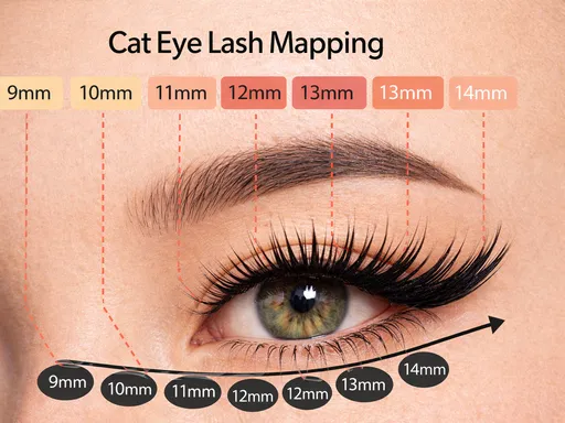 Which Strip Lashes Create Perf